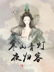 寒山青灯夜归客