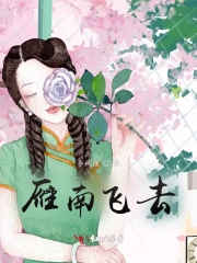 雁南飞去