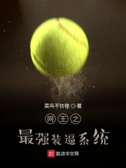 网王之最强装逼系统