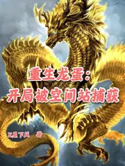 重生龙蛋：开局被空间站捕获