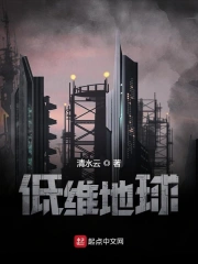 低维地球