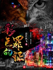 彩色的罪证