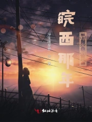 皖西那年灯火明灭