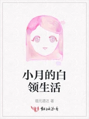 小月的白领生活