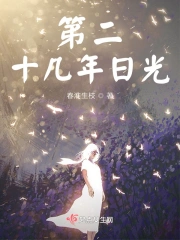 第二十几年日光
