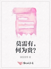 莫需有，何为贵？
