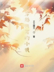 为穿越而写的小说