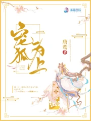 宠狐为上