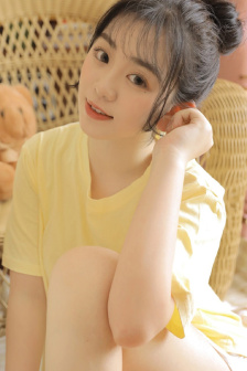 辞鸢录